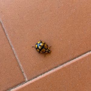 Meet your Posher, Clare